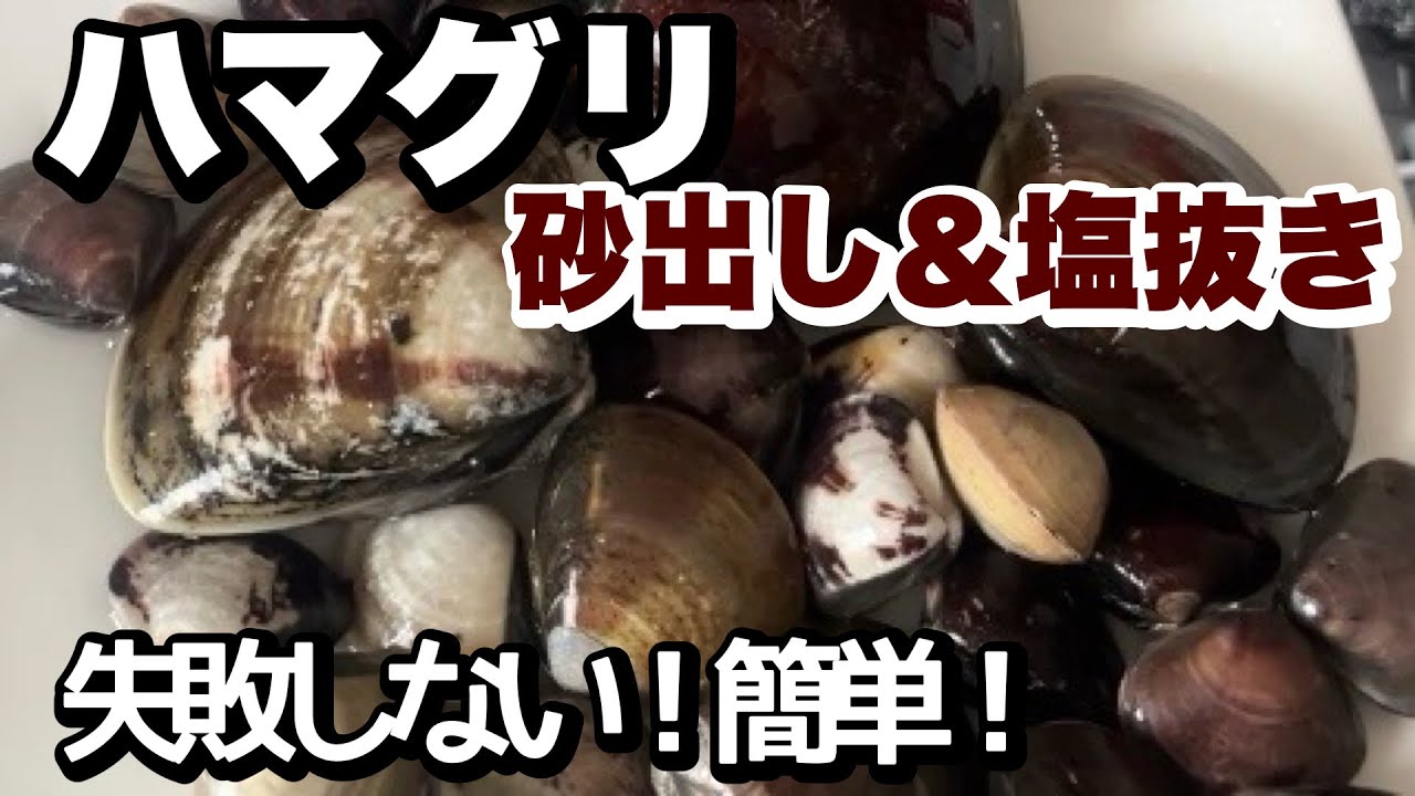 ひな祭り間近！ハマグリの砂抜きを短時間で簡単に終わらせる方法とは？料理のギモン！？ -たべものニュース
