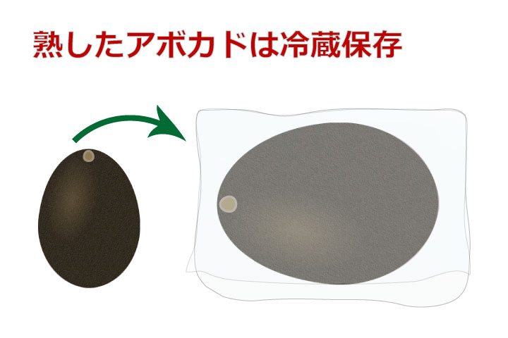 アボカドの保存方法 長持ちさせる保存の仕方