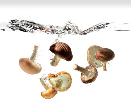 しめじの『下処理と♡洗う洗わない』美味しく食べるには？料理のレシピや作り方暮らしニスタ