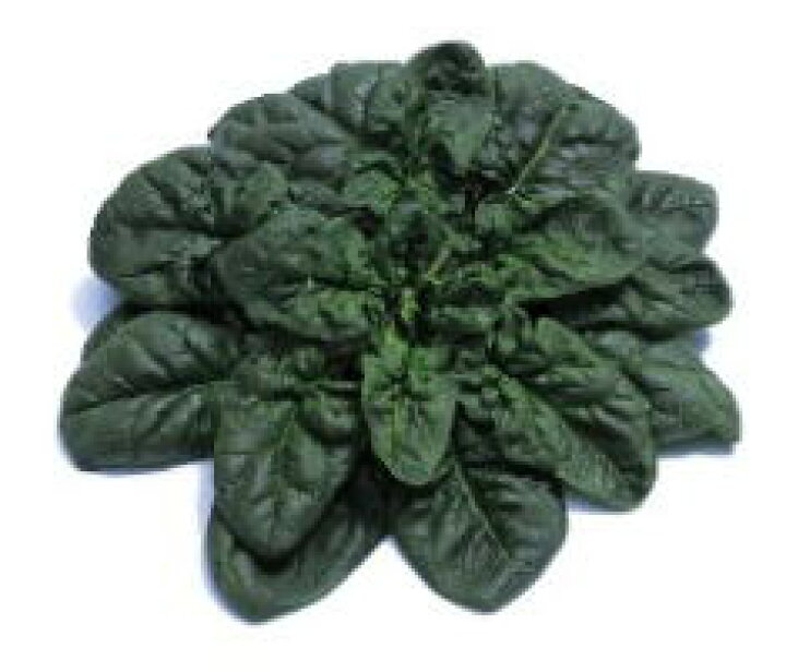 晴れた日に、種まきkiyotanのブログ