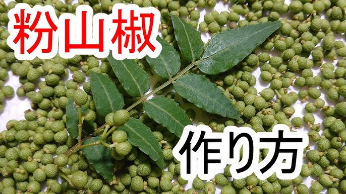 簡単手作り！ 粉山椒