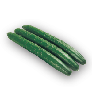 1食分の高知 乾燥 野菜ミックス 6gタイプ 5年保存 個包装 ALL SLOW FOOD 無添加 低温乾燥 高知県産 保存食品 防災 防災 –森徳蔵.com