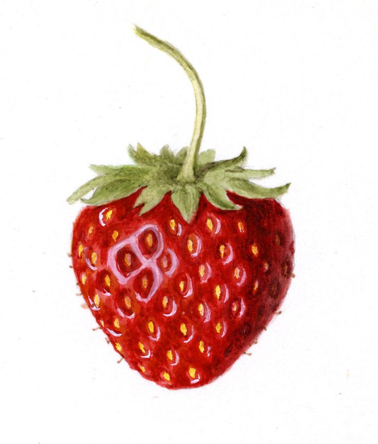 イチゴのイラスト商用OKの無料イラスト素材サイト ツカッテ