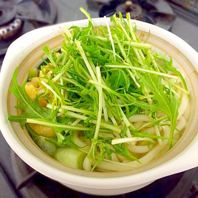 簡単！失敗知らず♪白だしのうどんすき♡