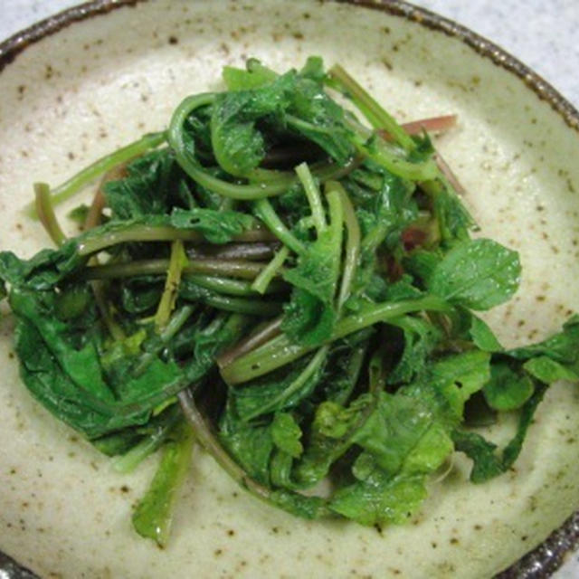 ラディッシュ ハツカダイコン 二十日大根 ：旬の野菜百科