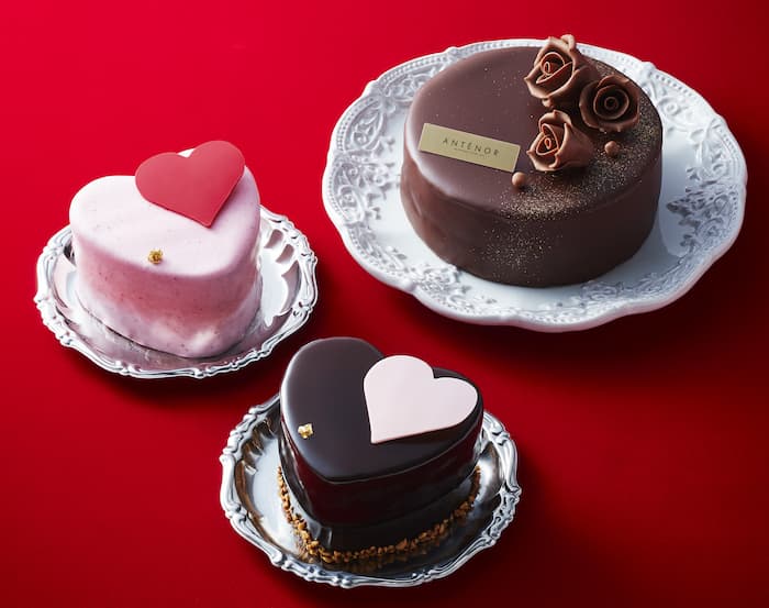 Decoration Cake Selection デコレーションシフォンケーキ チョコ- ジョフラン