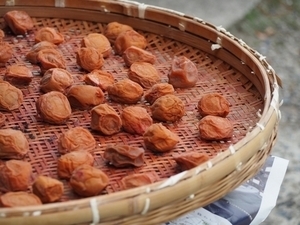 酸っぱいのが苦手な人に！まろやかな酸っぱさの自家製はちみつ梅干しの作り方 - 田舎暮らしと子育てブログ