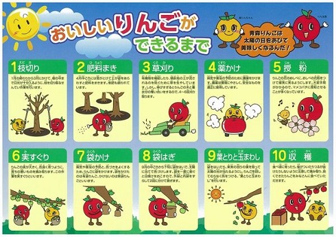 世界のおいしいリンゴ品種トップ１０津軽農園青森県弘前市のりんご・桃を産地直送！販売・卸し