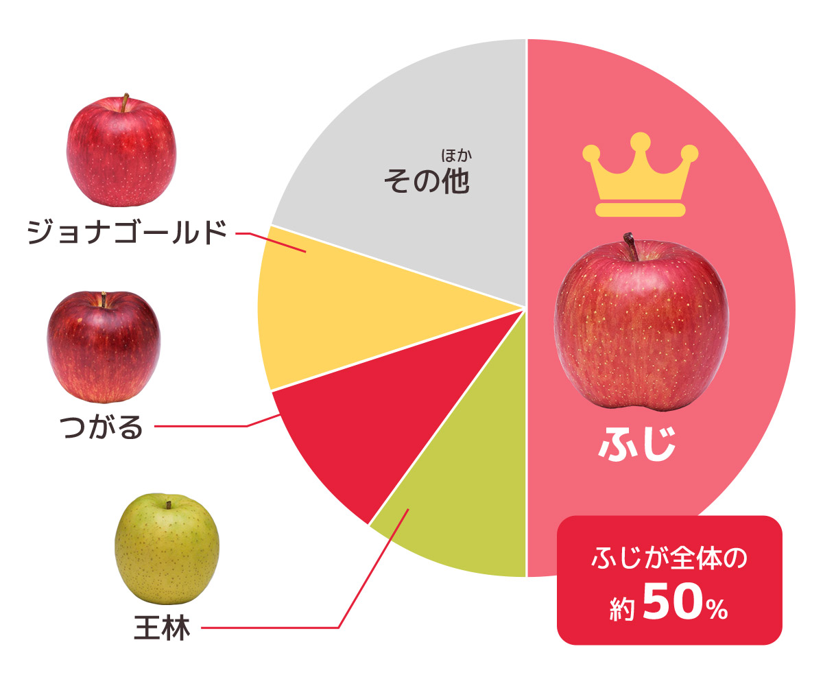 楽天市場 青 りんご 品種の通販
