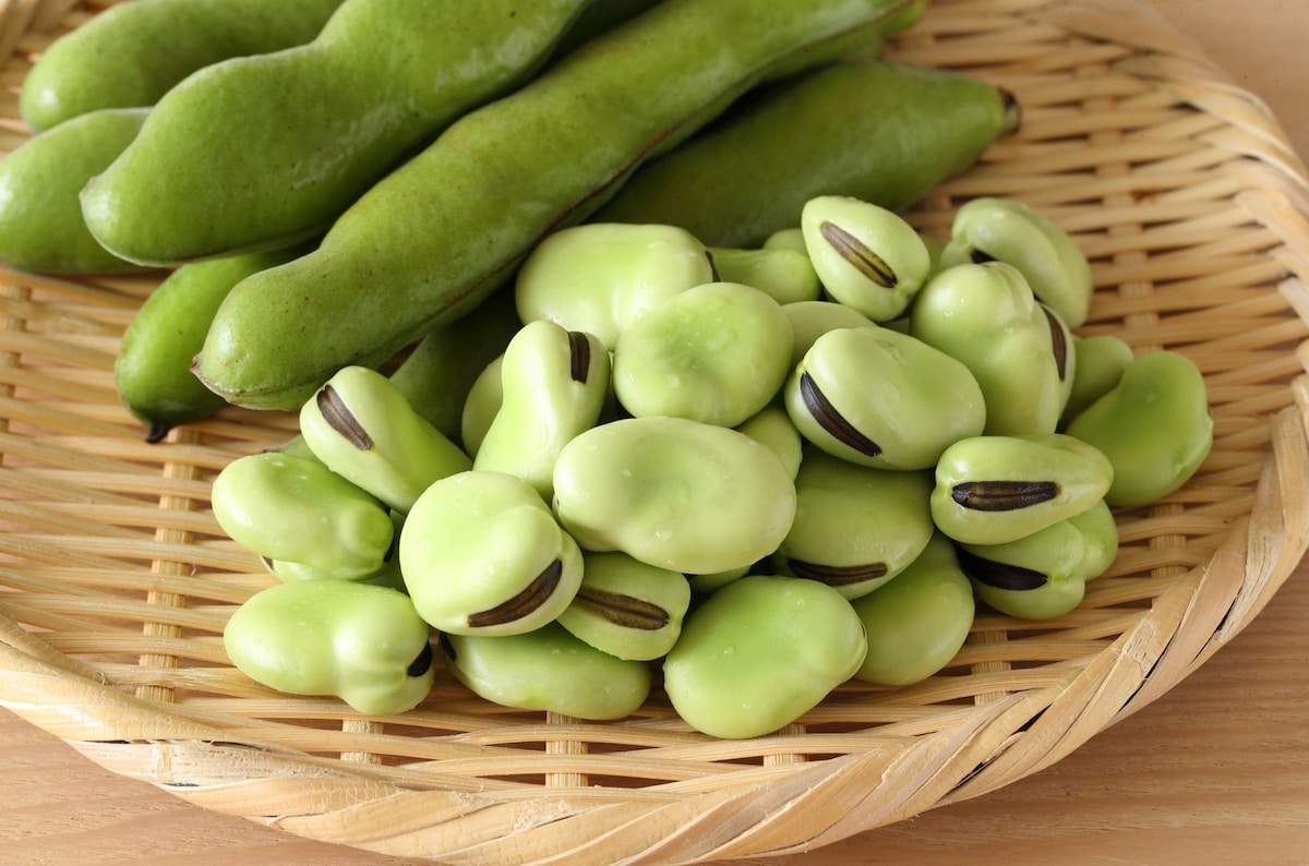 そら豆の一番正しい茹で方。正しい冷凍保存のやり方。究極のおいしさ焼きそら豆