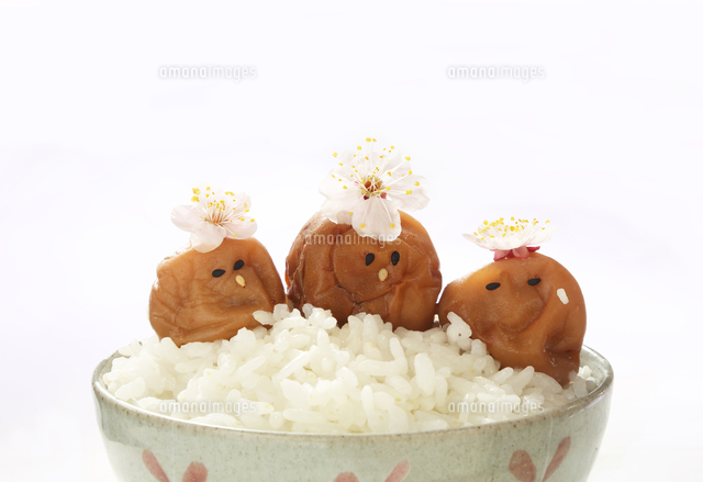 手書き風の梅おにぎりのイラスト無料のフリー素材 イラストエイト