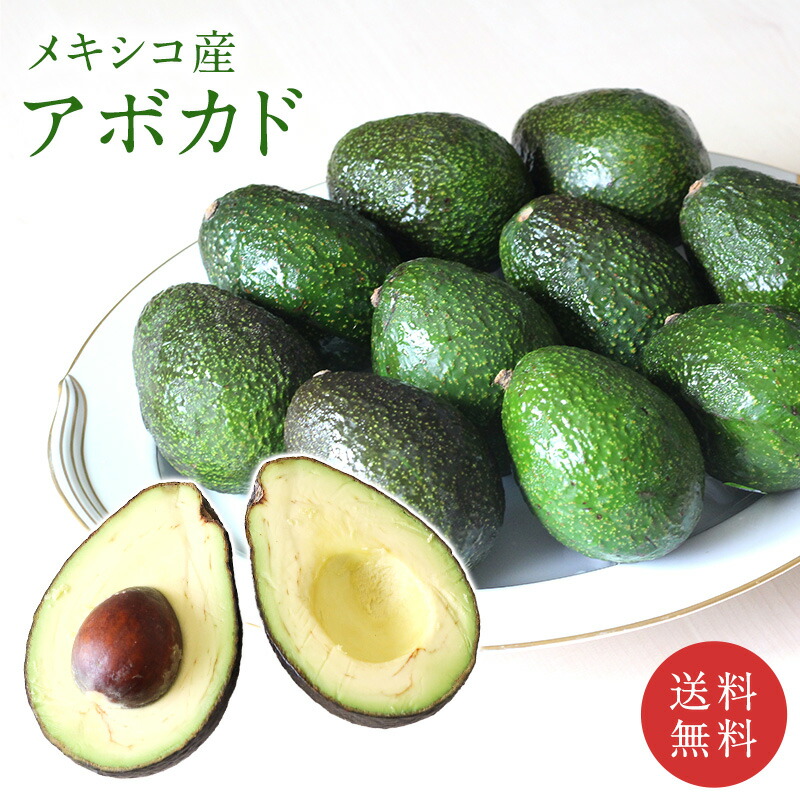 奇跡の国産「愛媛アボカド」愛媛県産約1㎏：愛媛県産の品種おまかせ食べチョク産地直送 産直 お取り寄せ通販 - 農家・漁師から旬の食材を直送