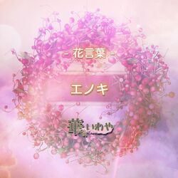 ピーマンの花はどんなの？花言葉は意外すぎる⁈何故？「海の恵み・海の利益」お役立ち！季節の耳より情報局