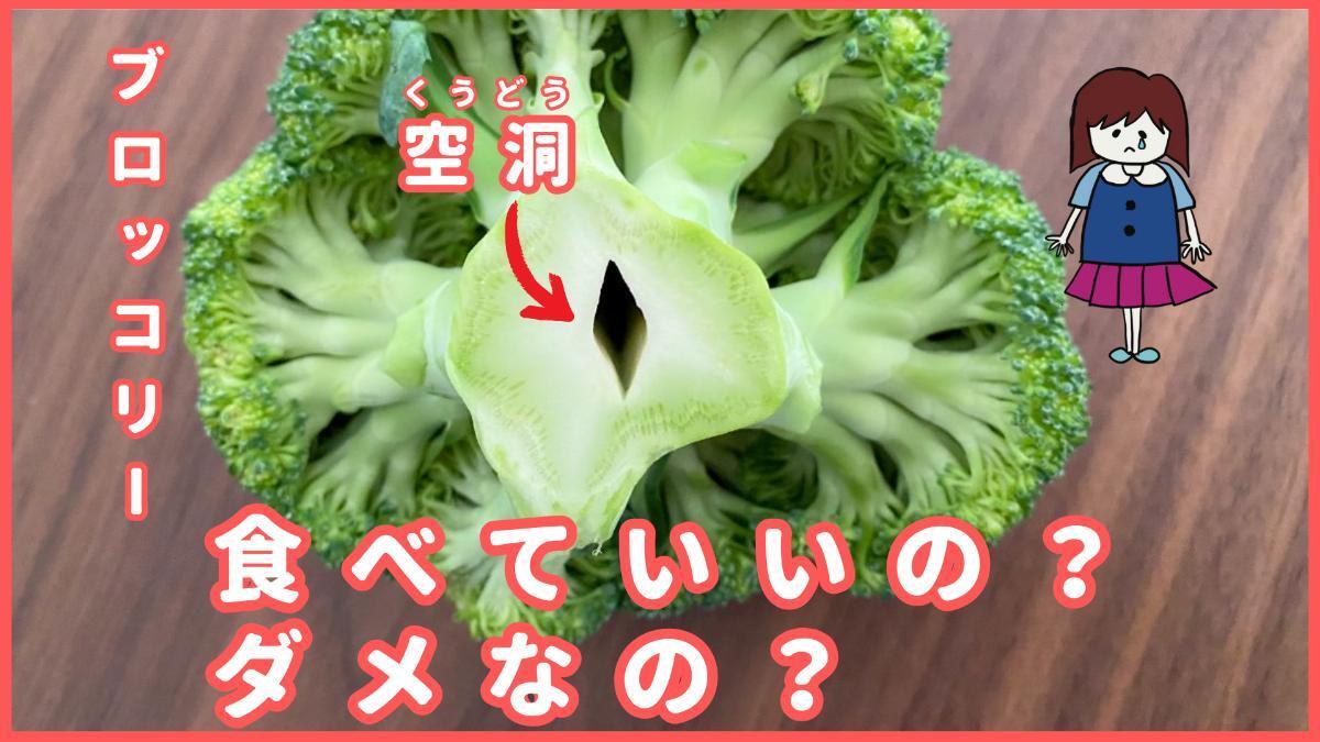 黄色くなったブロッコリーは食べられる？徳島の産直市 喜多野安心市 の２代目が伝えたい！やさいの話とか、農業の話とか