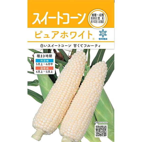 ホワイトコーン 白いとうもろこし ピュアホワイト とうもろこし トウモロコシ スイートコーン 品種の特徴 食べ方 選び方
