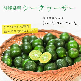 カーブチーお試し約１キロ以上沖縄産 特別価格甘いみかん沖縄 みかん お買い得全国送料無料