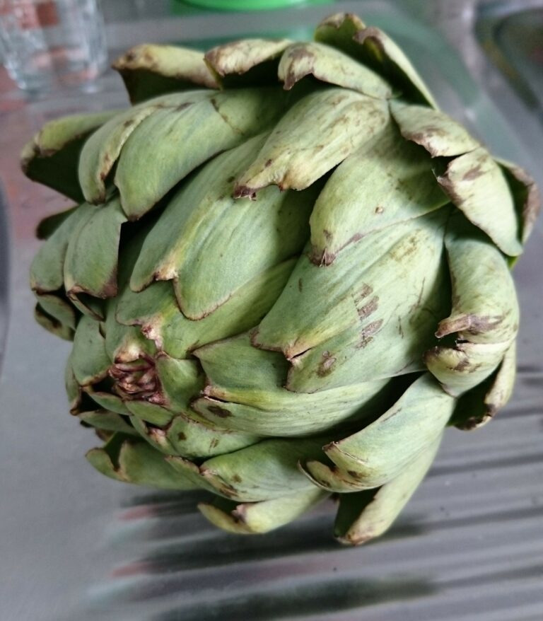 アメリカのスーパー カラフル野菜売り場 写真素材861282- フォトライブラリ