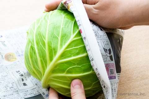 長持ち！キャベツの保存方法