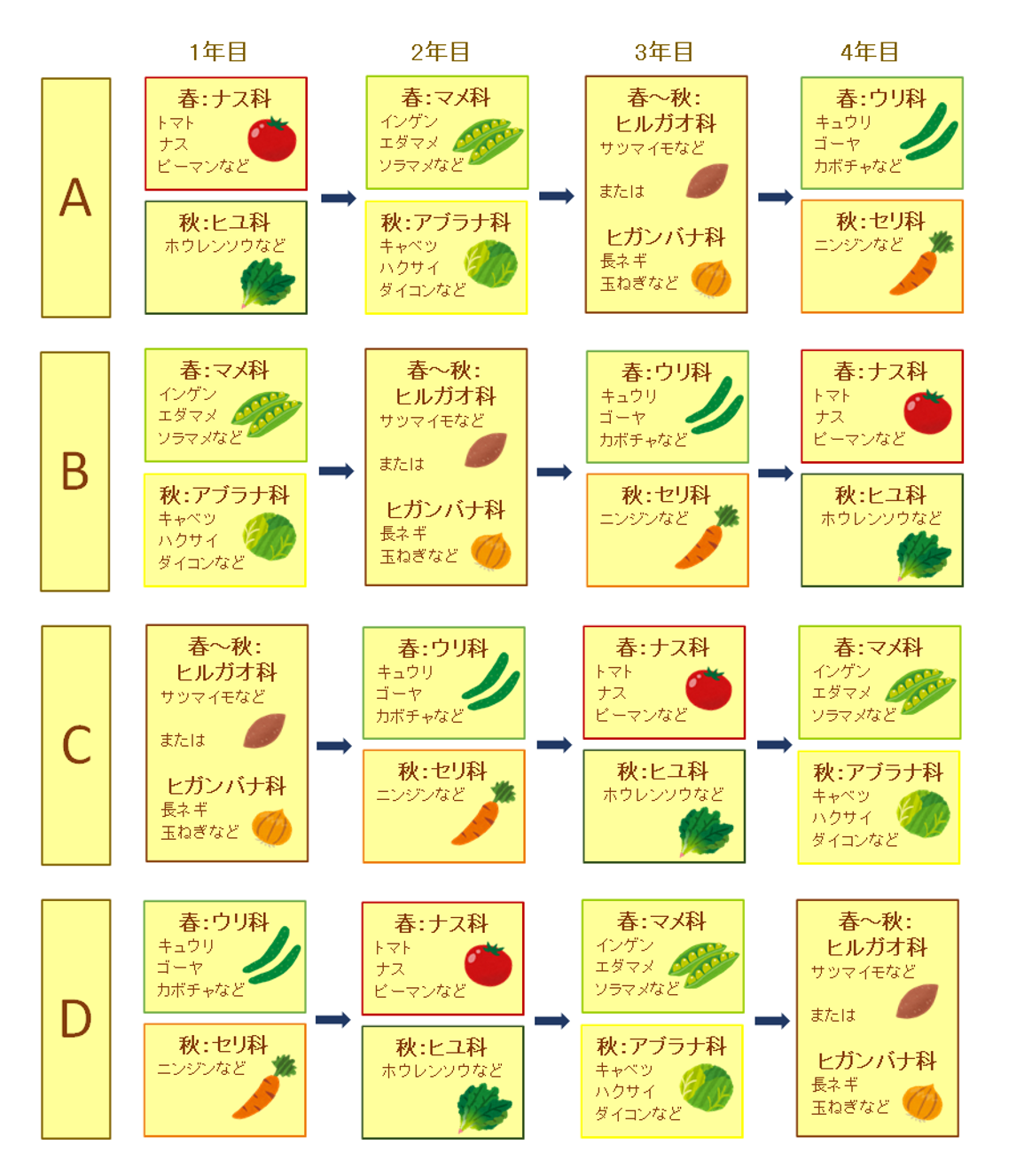 じゃがいもの後作は何がおすすめですか？ - 農業屋