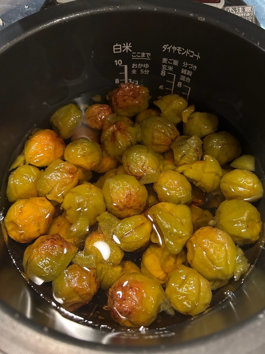 基本からアレンジまで！思わずつくりたくなる「梅シロップ 炊飯器」のレシピ集クックパッド