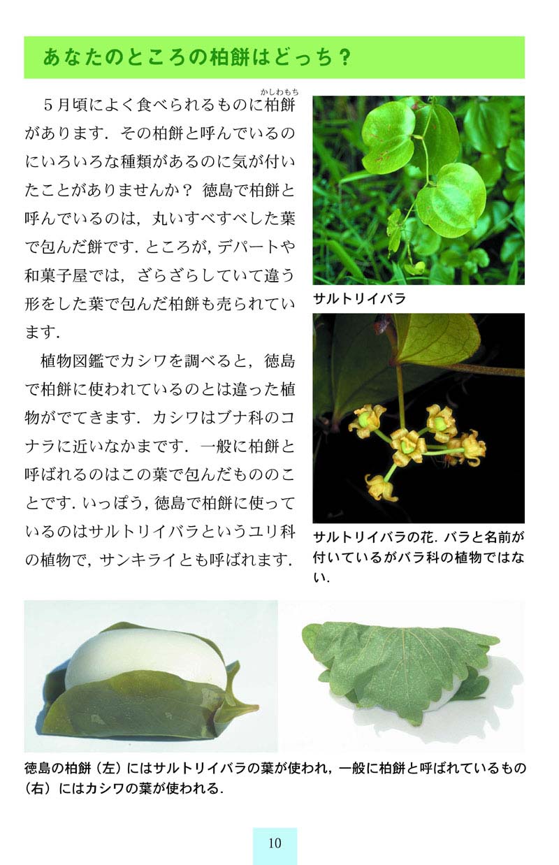 こどもの日5月5日端午の節句に食べる柏餅の葉の緑色と茶色の違いアトリエはなこ