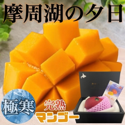 ふるさと納税配送不可地域：北海道・沖縄県・離島 月の旬果定期便♪12ヶ月連続フルーツ 定期便 果物 旬 厳選 逸品 いちご せとかデコポン はっさく びわ モモ ピオーネ 梨 シャインマスカット キウイ 富有柿 みかん 香川県 三豊市 送料無料 秋 旬香川県三豊