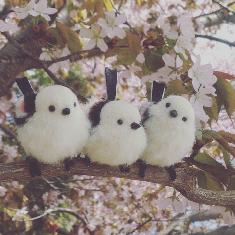 桜にエナガ団子！ - 野鳥ぷらねっと