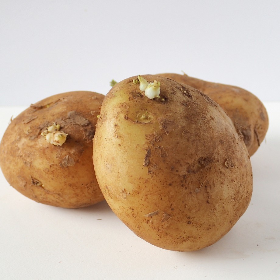 じゃがいもの芽の取り方！芽はどこまで取るの？キッコーマンホームクッキング