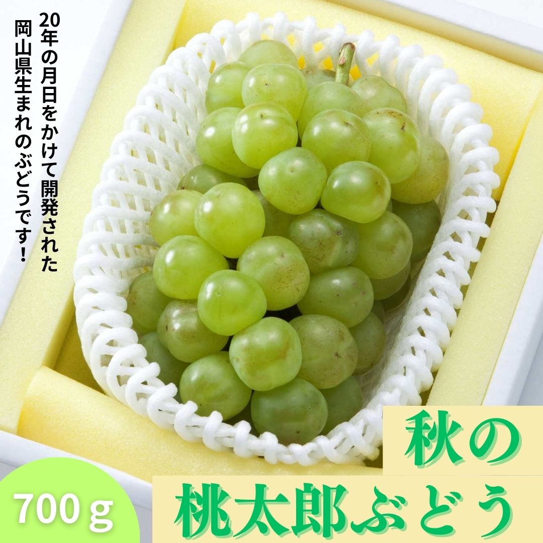 岡山フルーツ直送便くだもの王国おかやまから産地直送通販