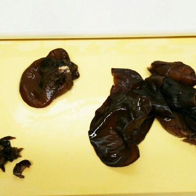 生きくらげ 下処理方法 by 愛媛きのこの郷クックパッド簡単おいしいみんなのレシピが392万品