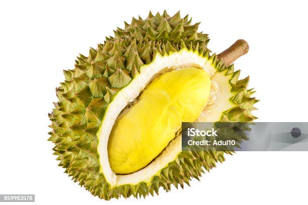 フルーツで巡る地方色 医食同源で健康維持をじゃかるた新聞