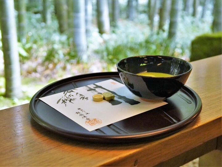 鎌倉・報国寺で楽しむ竹林と抹茶の美しい景色🌿🍵