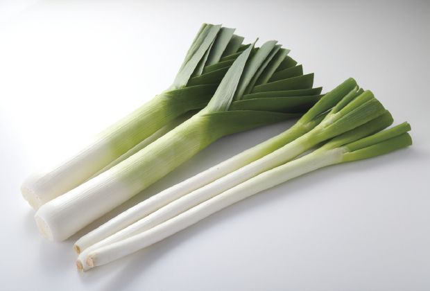 リーキ りーき とは？ 意味や使い方 - コトバンク