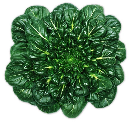 激ムズ 野菜ソムリエにしか分からない、葉っぱ当てクイズ