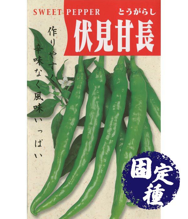 新鮮・朝採り ☆甘とう美人 甘長とうがらし コンパクトBOXいっぱい - メルカリ