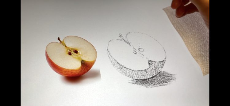 りんご 断面」の8792点のロイヤリティフリー画像、写真素材、絵Shutterstock