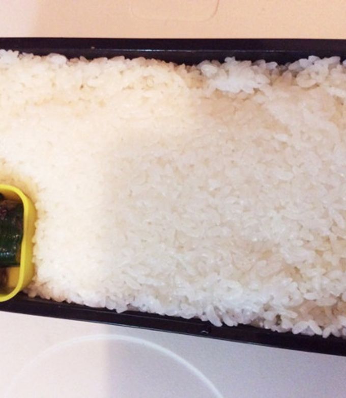 門限を破った夫に、妻が弁当を作ったら完成した光景に「とってもきれいですね」「これは復讐ではない 」と119万回再生 1 3ライフスタイルねとらぼ