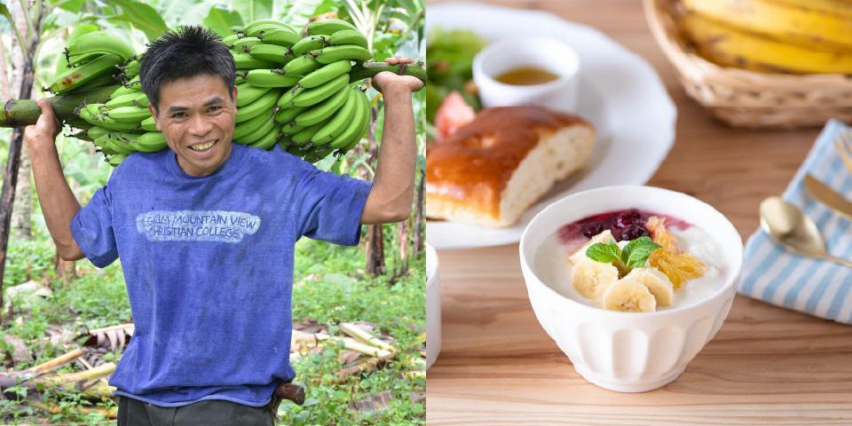 機能性農作物の研究バイオ農作物コースみんなのバイオ学園
