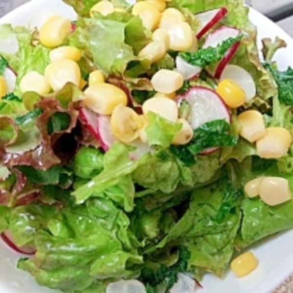 乾燥ラディッシュを使った彩サラダ