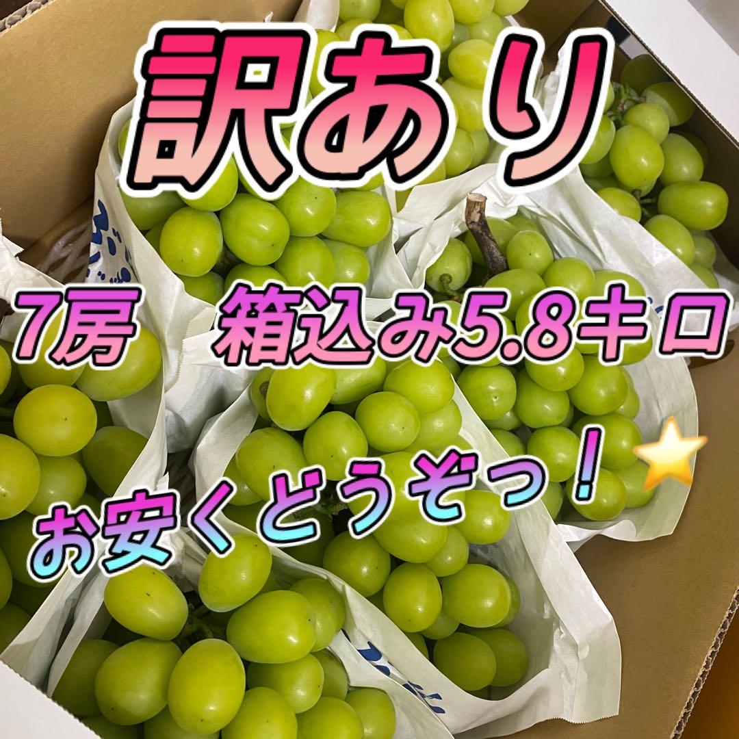 畑の侵略者。シャインマスカットなどの、ぶどうにつく害虫についてHoshina Farm