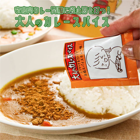 スパイスだけのカレー粉 50g角瓶旧オリジナルカレーパウダー