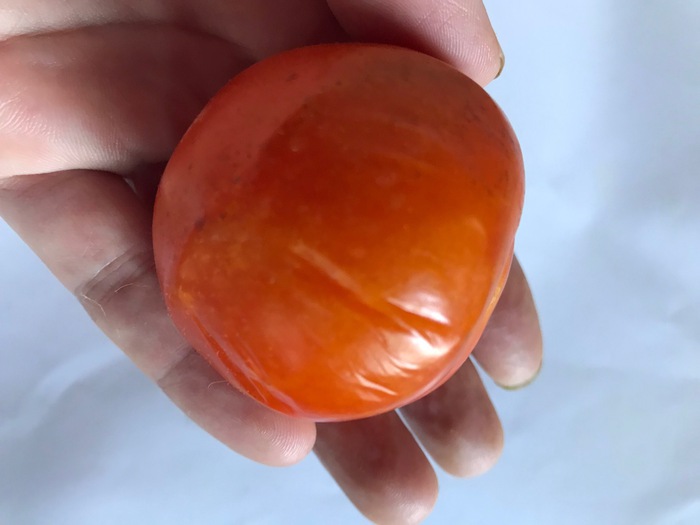 このトマト、腐って ない！ 農家おすすめ、甘くておいしい「尻腐れ果」: J-CAST トレンド 全文表示