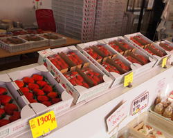 東岐波にある「いちごの自販機」で摘みたていちごを購入地域のポータブルサイト