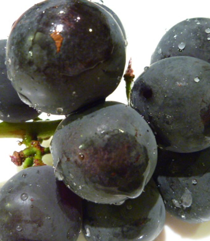 秒でつるん♪感動するほど簡単な「ぶどうの皮むき」の技4選 - macaroni