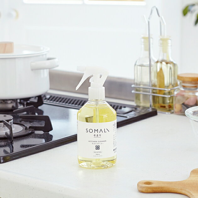 Aesopデビュー、と、ちょっと苦い出来事 : 古く小さく愛しいわが家 Powered by ライブドアブログ