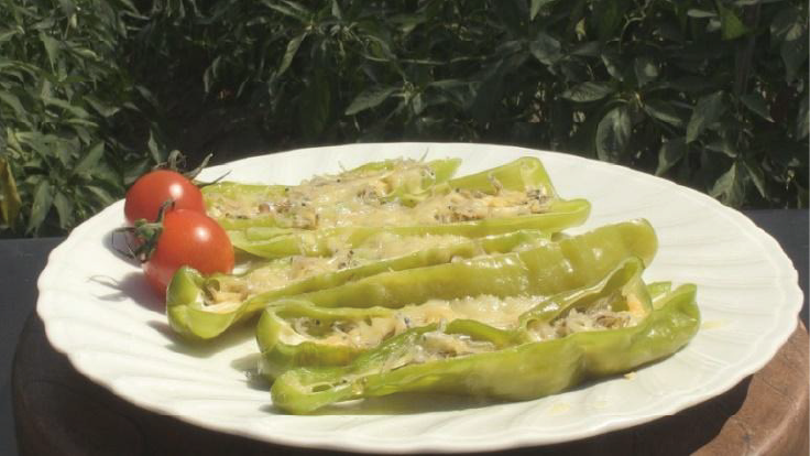 甘とう美人の麺つゆ煮♪簡単