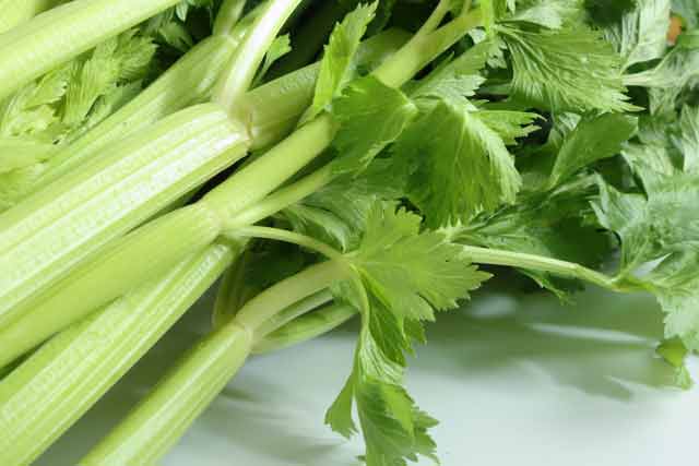 ネギの青い部分がない時の美味しいアイデア素晴らしき知識の森