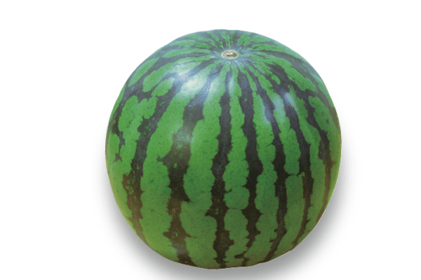 すいか 西瓜 スイカ
