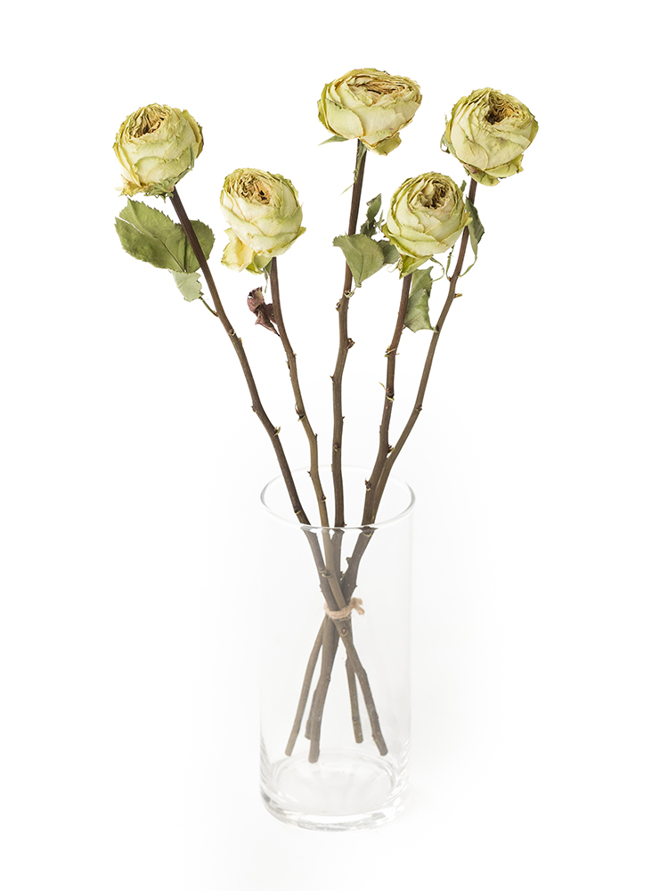 食材詳細業務用食材検索サイト 食材プロ