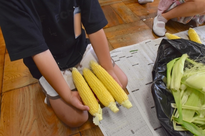 とうもろこしの皮むき - あさがおグループ